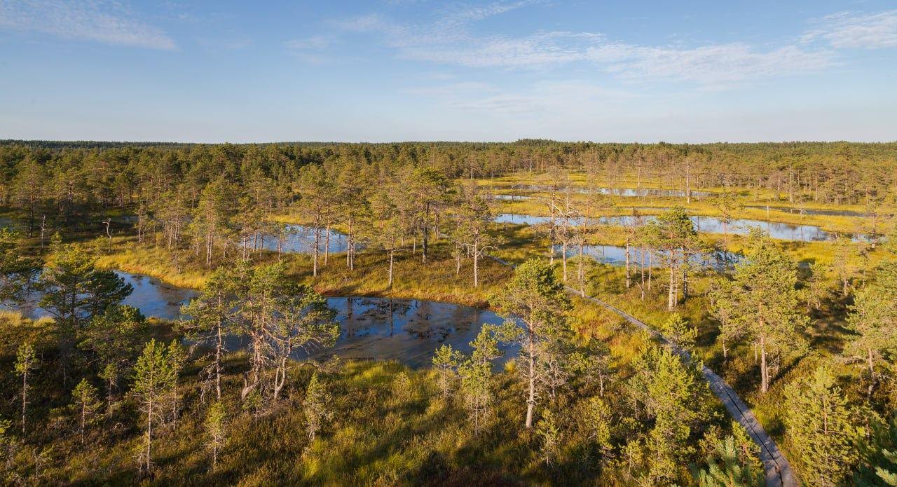 Kuidas jõuda turismikohtadesse Eestis